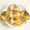 Live Large Yellow Clams